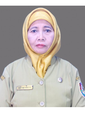ANIP DWI MARTINI, S.Pd
