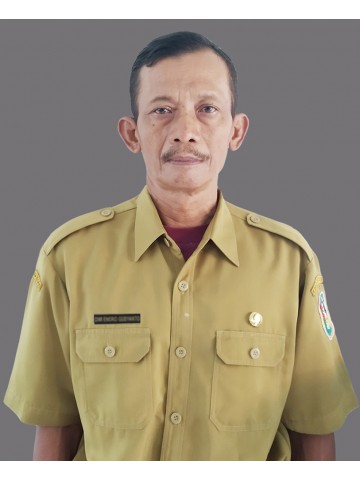 DWI ENDRO GUSYANTO, S.Pd